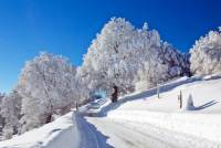 Winter im Schwarzwald